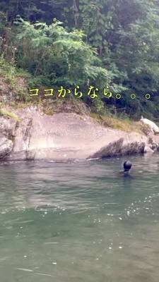 家族が『目の前で川に落ちた』結果、大型犬が…救助を試みる姿と『まさかの展開』が面白いと32万再生「気持ちは伝わる」「期待したのにｗ」