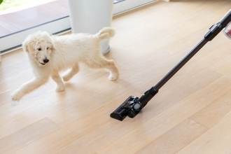 犬が『嫌うもの』ワースト6　飼い主が把握すべき苦手なモノとは？克服に一歩近づく秘訣まで