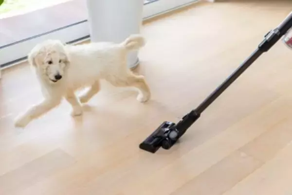 犬が『嫌うもの』ワースト6　飼い主が把握すべき苦手なモノとは？克服に一歩近づく秘訣まで