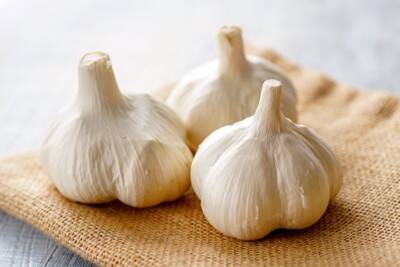 犬に絶対NGな『野菜』５選　与えてはいけない理由や誤食した場合の危険な症状まで