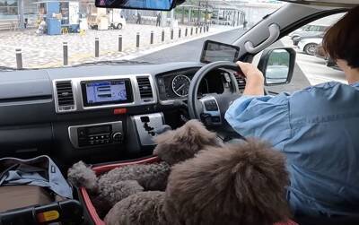 60代女性と愛犬がキャンピングカーで車中泊！旅を満喫する姿に「見ていてワクワクする」「めっちゃ楽しそう♪」