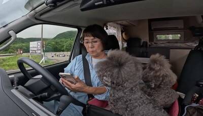 60代女性と愛犬がキャンピングカーで車中泊！旅を満喫する姿に「見ていてワクワクする」「めっちゃ楽しそう♪」