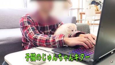 在宅でオンライン会議をしていたら…まさかの『犬と猫の乱入事件』が面白すぎると82万再生「参加したいのかな？ｗ」「わちゃわちゃで草」