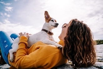 犬が『体をホリホリしてくる』5つの心理　考えられる理由や飼い主がすべき正しい対応まで