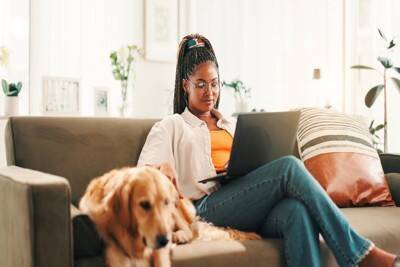 犬が『体をホリホリしてくる』5つの心理　考えられる理由や飼い主がすべき正しい対応まで
