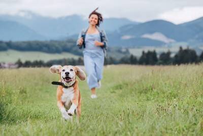 犬が健康的に暮らすための『生活習慣』4つ　病気にならない体づくりの秘訣とは？