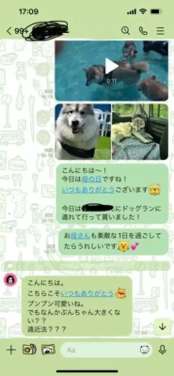 お義母さんに『大型犬が遊ぶ写真』をLINE→届いた返信が…想定外だった『まさかの疑い』に「倍はあって草」「なんて大きいモフモフｗ」の声