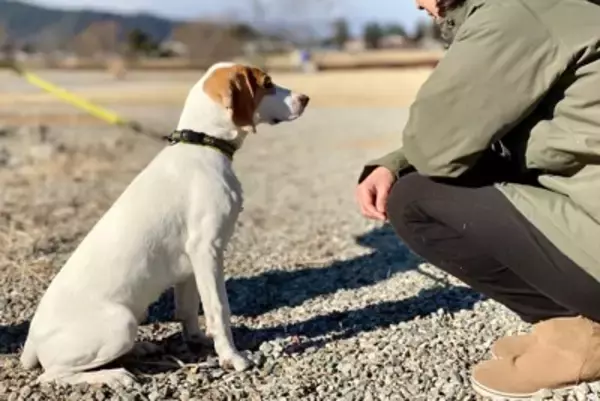 『初対面の犬』に勝手に触れてはいけない理由4つ　起こりうるトラブルや適切なアプローチの方法も解説