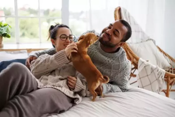 犬が『大好きな人』にだけみせるサイン4選　愛犬からの特別な行動や好かれる方法まで解説