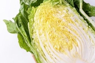 犬に『白菜』を与えても大丈夫？食べさせる前に押さえておきたいポイントまで