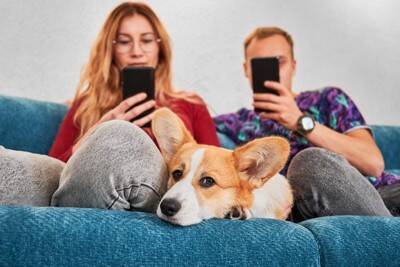 【トレーナー執筆】愛犬の吠えが止まらない！やってはいけない「NG対応」3選