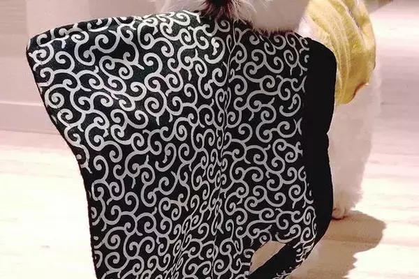 飼い主が泣いていることに気付いた犬→『寒いのかな』と勘違いして…思わず泣けてくる行動が19万表示「本当に優しい子」「一番の味方」と感動