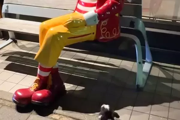 散歩中の犬が『マクドナルドの人形』を本物の人間だと勘違いして…あまりにも愛おしい『まさかの光景』に反響「健気でたまらん」「見えるよねｗ」