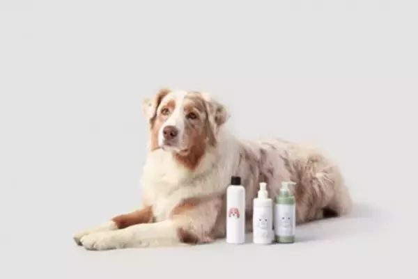 犬用シャンプーの正しい保管方法　細菌汚染を防ぐために飼い主ができること【獣医師執筆】