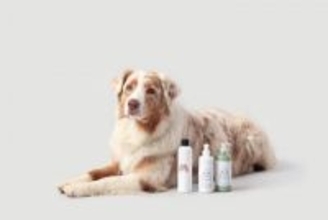 犬用シャンプーの正しい保管方法　細菌汚染を防ぐために飼い主ができること【獣医師執筆】