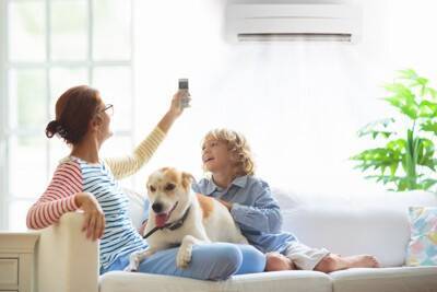 『エアコンの冷房が苦手な犬』の特徴５選　愛犬が快適に過ごすために飼い主がすべきことまで