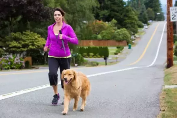 長く散歩に行かなければならない犬種5選　たくさんの運動量が必要な犬の特徴まで