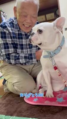 おばあちゃんにばかり甘える犬→おじいちゃんが拗ねてしまい…『尊すぎる結末』が82万再生「じいちゃんも可愛い」「幸せそうでニヤけた」と絶賛