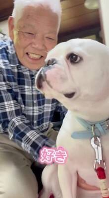 おばあちゃんにばかり甘える犬→おじいちゃんが拗ねてしまい…『尊すぎる結末』が82万再生「じいちゃんも可愛い」「幸せそうでニヤけた」と絶賛