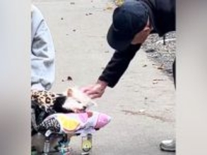 17歳の老犬を散歩中、話しかけてくれたおじいちゃん→同じ歳の愛犬を亡くしていて…愛情にあふれたエピソードに感動「素敵」「優しさが伝わる」