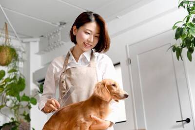 『ペットホテル』に預けられた犬の過ごし方とは？事前に知っておくべき注意点まで