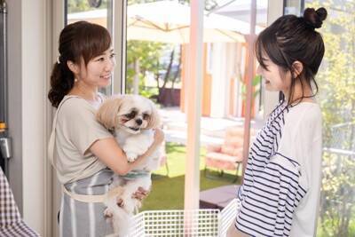 『ペットホテル』に預けられた犬の過ごし方とは？事前に知っておくべき注意点まで