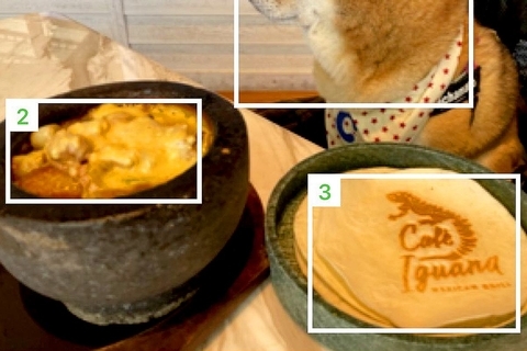 カロリー計算をしようと料理を撮影したら、犬も写り込んで…まさかの展開に10万いいね集まる「6枚切ｗｗ」「可愛くて食べられない」と爆笑の声