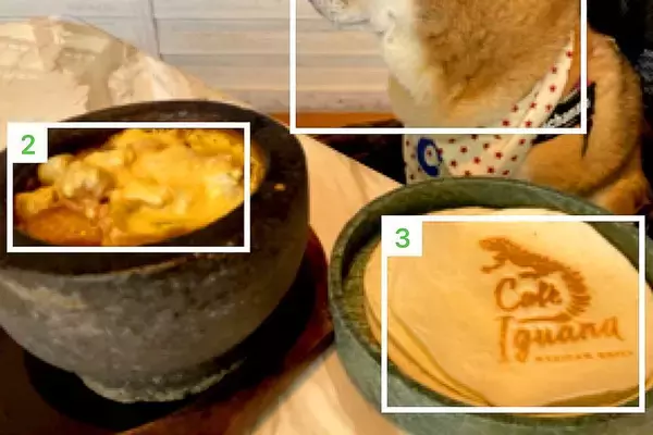 カロリー計算をしようと料理を撮影したら、犬も写り込んで…まさかの展開に10万いいね集まる「6枚切ｗｗ」「可愛くて食べられない」と爆笑の声