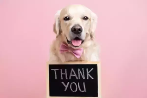 犬に『感謝の気持ち』を伝える方法5選　ありがとうを伝えるために飼い主が意識すべきポイントとは？