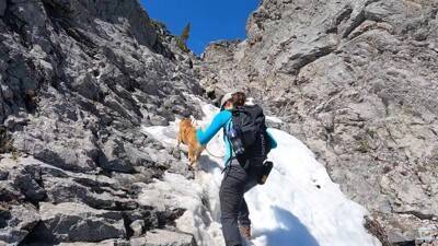 柴犬と『海外で登山』してみたら…岩場をいとも簡単に登っていく姿と絶景に「息を止めて見入っていました」「凄いです」と感動の声