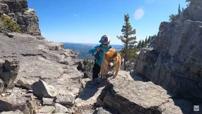 柴犬と『海外で登山』してみたら…岩場をいとも簡単に登っていく姿と絶景に「息を止めて見入っていました」「凄いです」と感動の声