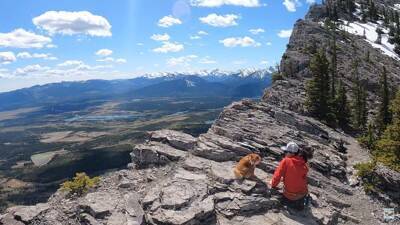 柴犬と『海外で登山』してみたら…岩場をいとも簡単に登っていく姿と絶景に「息を止めて見入っていました」「凄いです」と感動の声
