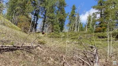 柴犬と『海外で登山』してみたら…岩場をいとも簡単に登っていく姿と絶景に「息を止めて見入っていました」「凄いです」と感動の声