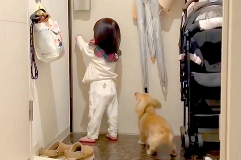 出張からパパが帰宅→小さな女の子と犬が玄関で待ち構えて…泣けるほど幸せな『尊い光景』が558万表示「熱烈歓迎」「早送りみたいｗ」と絶賛