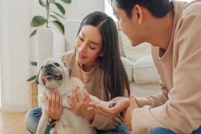 『温厚な性格』の犬種5選　おとなしくて飼いやすいと言われている理由や注意点まで