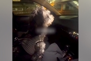 車で『お仕事帰りのママ』をお迎えにきた犬→見つけた瞬間、愛が爆発して…あまりにも尊い『おかえりの歓迎』に反響「疲れ吹っ飛ぶ」「可愛すぎ」