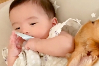 パパがいなくて寂しがる赤ちゃん→犬が優しく寄り添ってくれて…まるで人間のように『優しくて尊い光景』に反響「頼もしい」「本当に仲がいい」