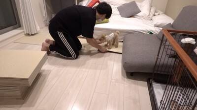 犬を飼ったので『部屋にタイルマットを敷き詰めた』結果…思った以上に『喜びが限界突破する光景』が364万再生「スライディングｗ」「可愛い」