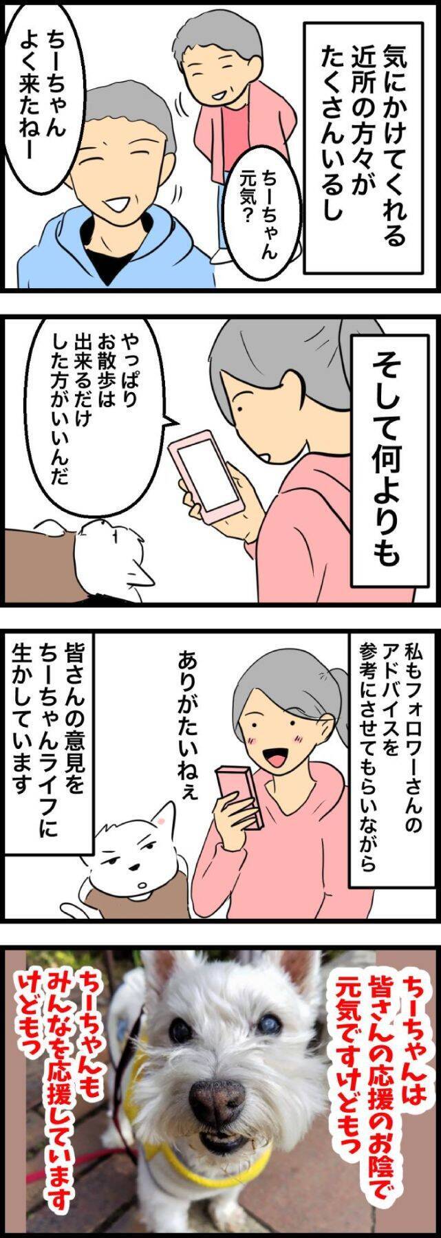 ちーちゃんですけどもっ【第336話】「ちーちゃんの元気な訳」