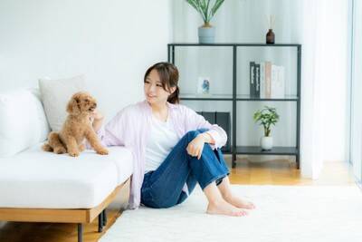 犬が飼い主の『目を見ない』ときの心理5つ　目をそらしてくるワケや適切な接し方まで