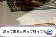 親からLINEで『実家の犬の写真』が送られてきたので確認→なぜか玄関で…『今すぐに会いたくなる光景』に反響「哀愁すごい」「なんて健気」