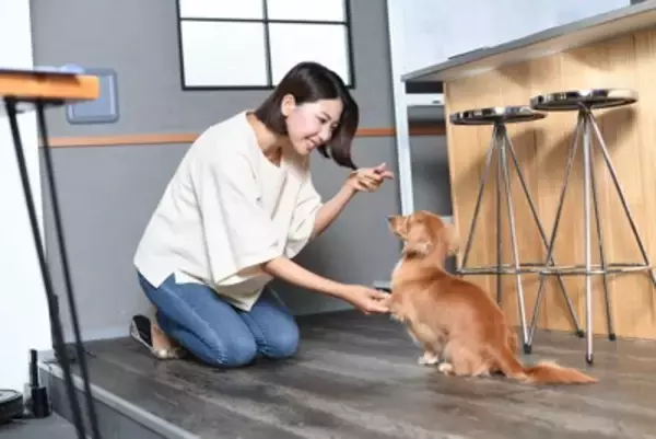 犬の『褒めるしつけ』ってどのようにすればいいの？成功させるための3つのステップを解説
