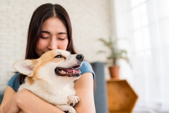 犬がみせる『可愛すぎな行動』6つ　飼い主だからこそ見ることができる仕草や愛犬の心理まで