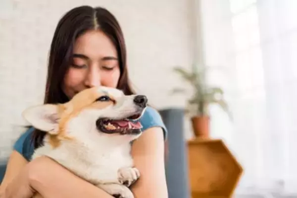 犬がみせる『可愛すぎな行動』6つ　飼い主だからこそ見ることができる仕草や愛犬の心理まで