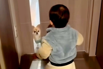 1歳の男の子と半日ぶりに再会した犬→ドアを開けた瞬間、嬉しくなりすぎて…尊すぎる『喜び方』が134万再生「嬉しいね」「ピョンピョン」