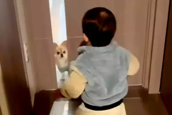 1歳の男の子と半日ぶりに再会した犬→ドアを開けた瞬間、嬉しくなりすぎて…尊すぎる『喜び方』が134万再生「嬉しいね」「ピョンピョン」