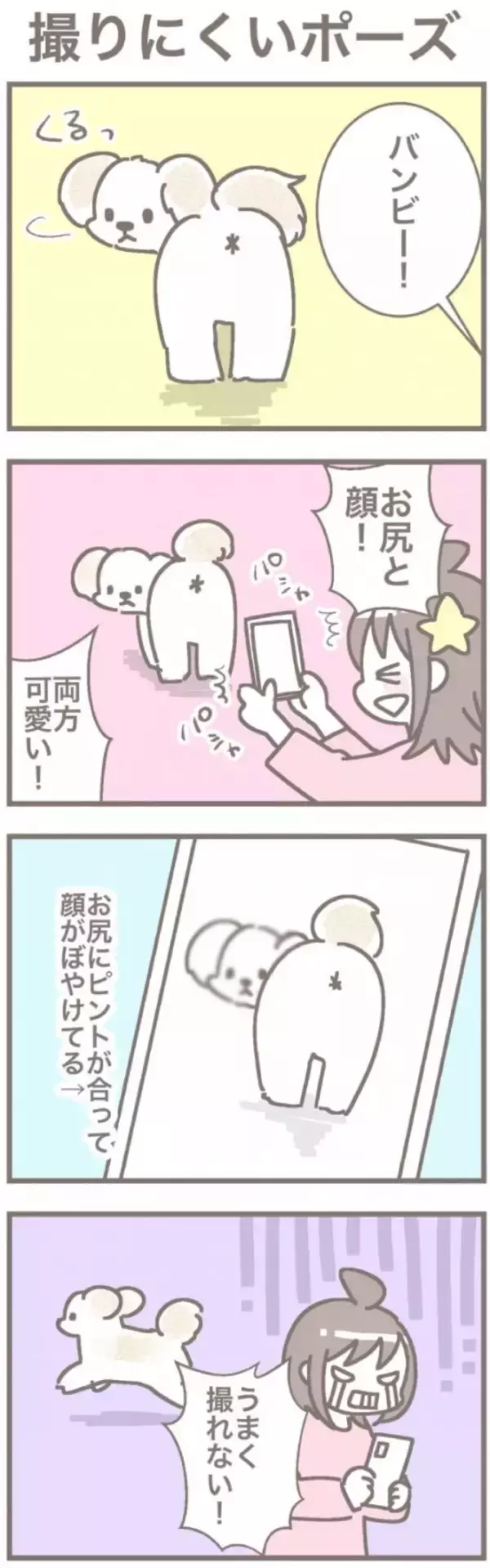 うちの王様にはどうしても抗えない【第356話】「撮りにくいポーズ」