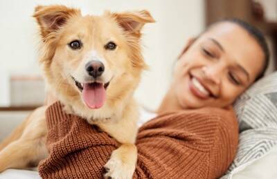犬からの『信頼度』を測る方法５選　主なチェック項目や飼い主を頼りにしていないワンコがみせる行動まで