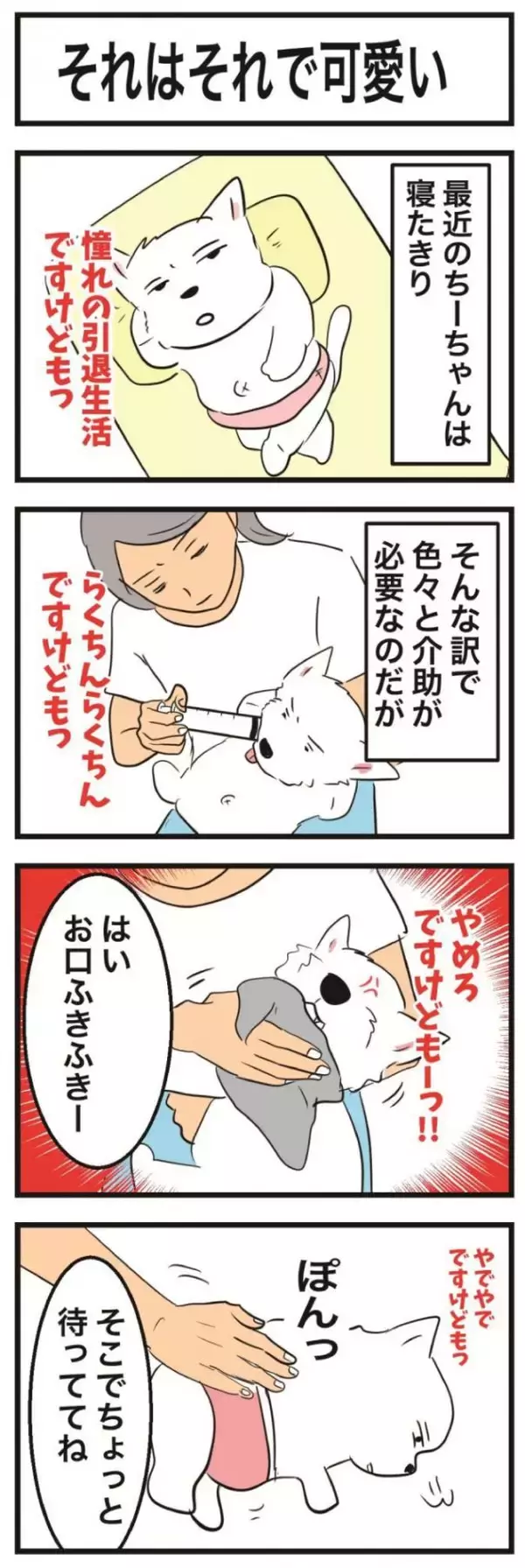 ちーちゃんですけどもっ【第370話】「それはそれで可愛い」