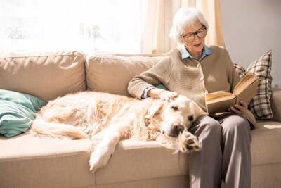 犬の年齢は人間でいうと何歳？計算方法や寿命を延ばすためにできることまで